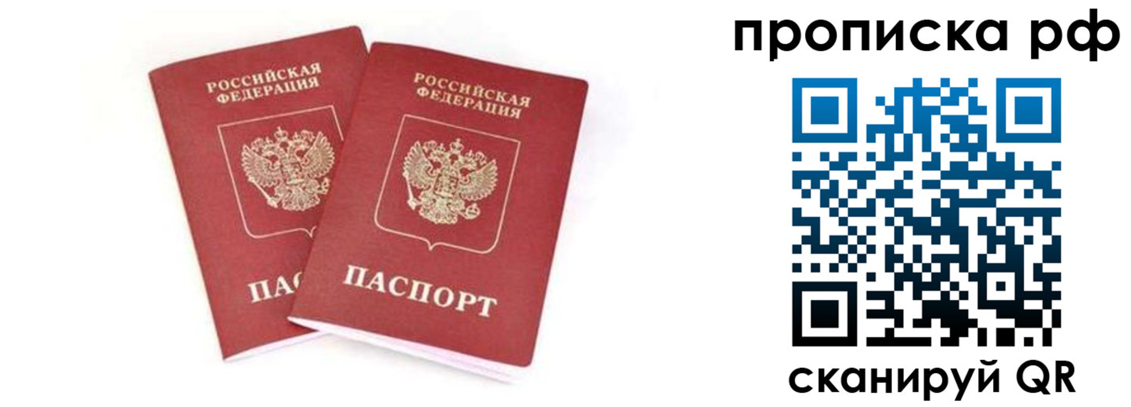 прописка поиск в Красноярске
